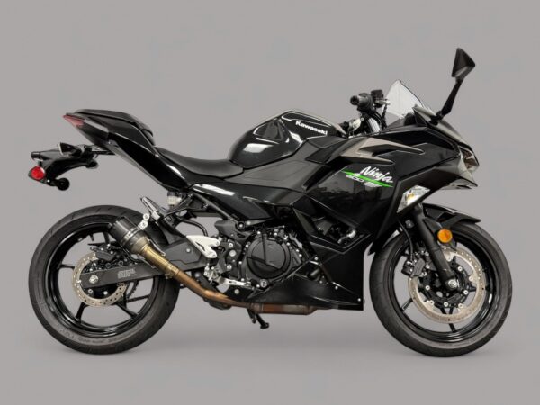 2024 Kawasaki Ninja 500 - Image 5