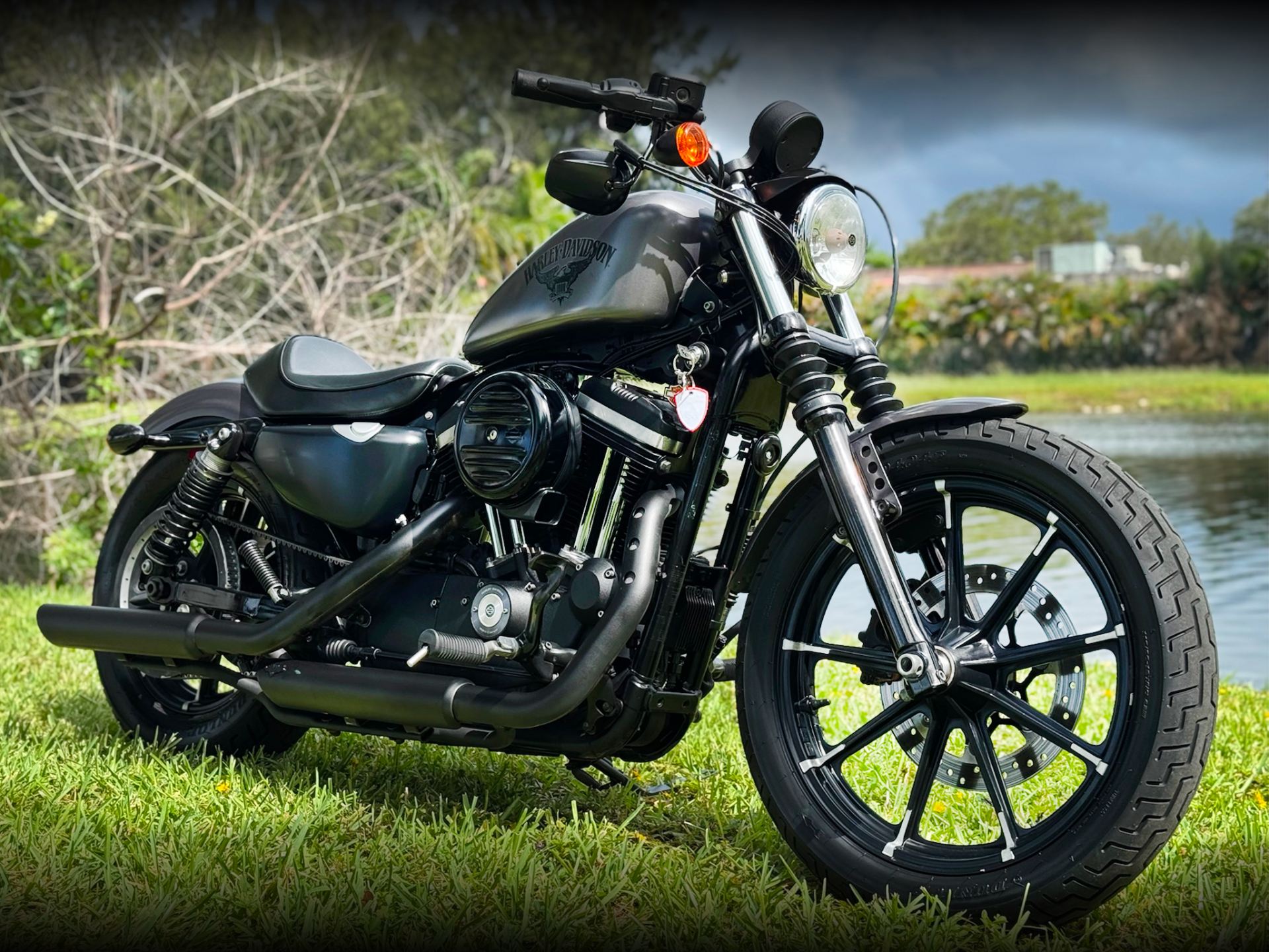 2017 Harley-Davidson Iron 883™ for Sale